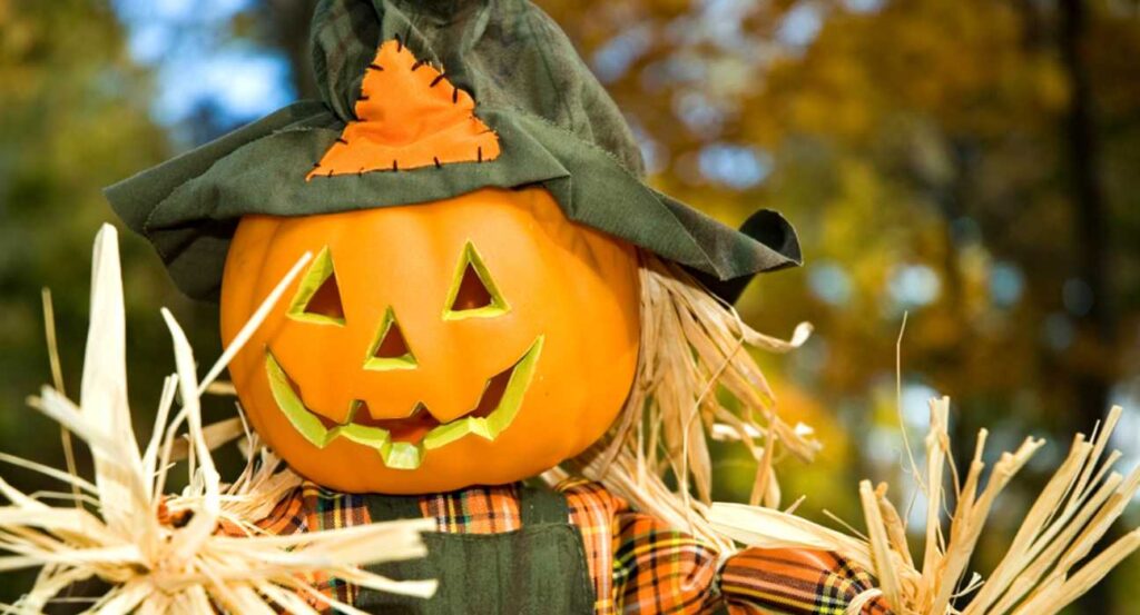 halloween-stock-image